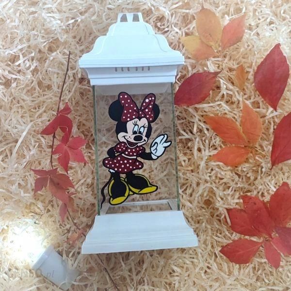 i-znicz-z-motywami-bajkowymi-minnie